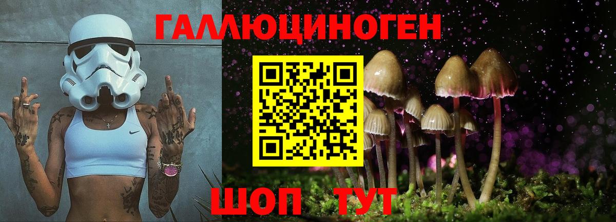 где купить наркоту  Псилоцибиновые грибы мухоморы  Вход с VPN  Зеленодольск 
